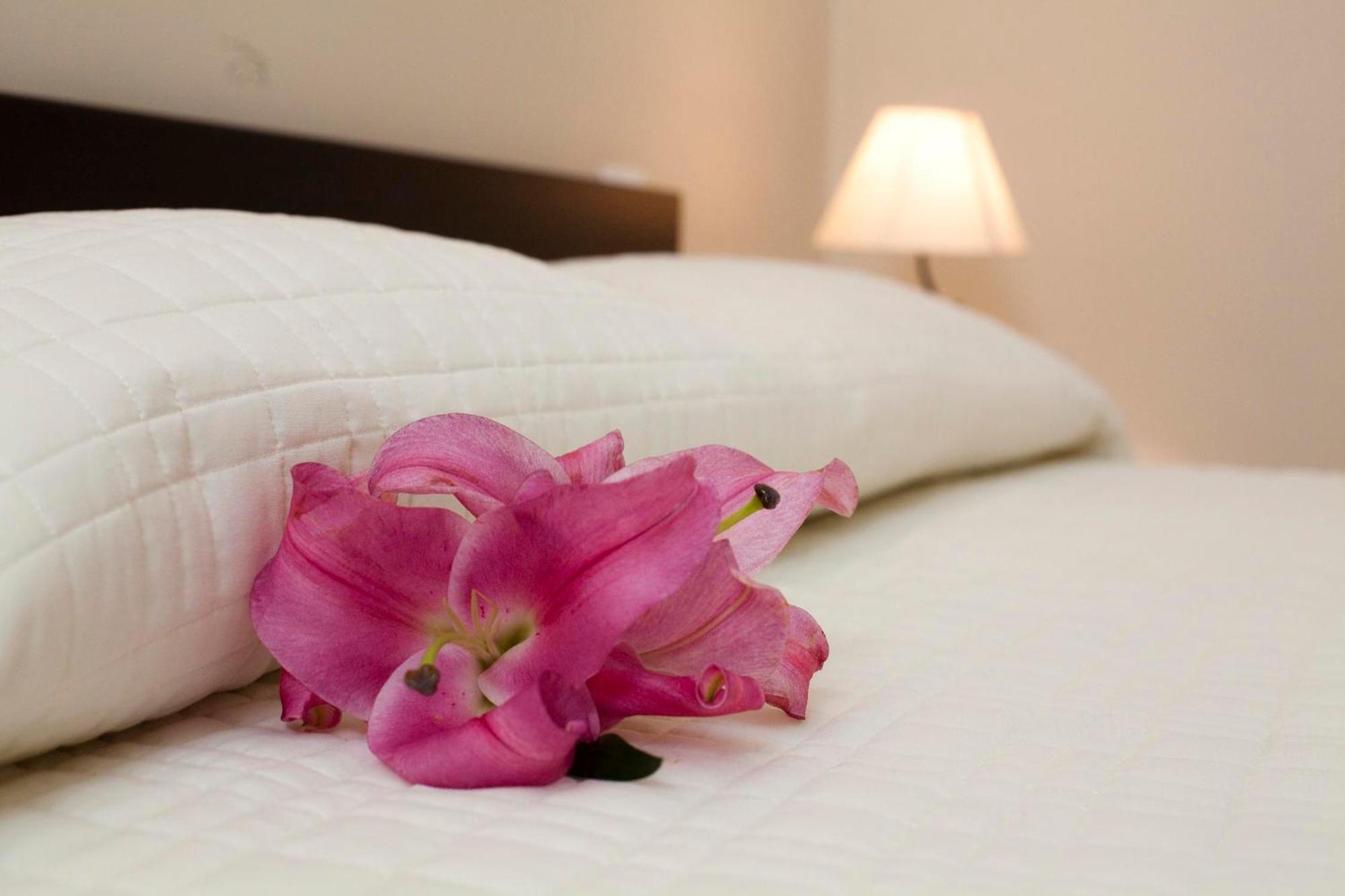 Bed and Breakfast Antiche Volte Katania Zewnętrze zdjęcie